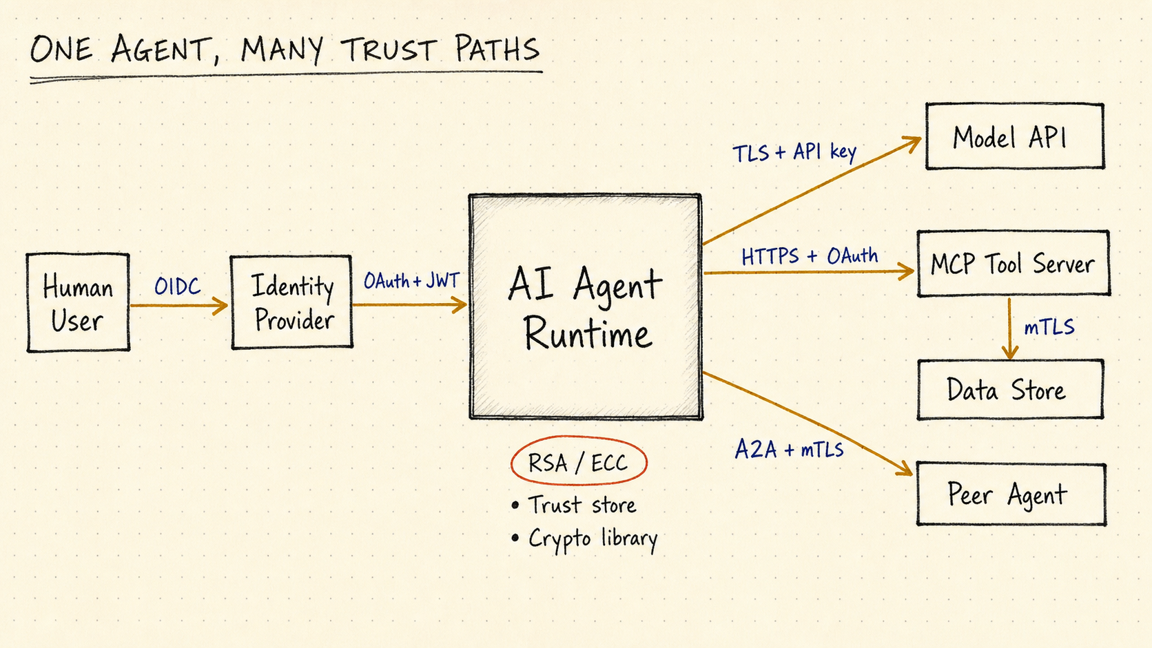 Hand-drawn architecture showing a human user, identity provider, AI agent runtime, model API, MCP tool server, data store, and peer agent connected through OIDC, OAuth, JWT, TLS, mutual TLS, and A2A